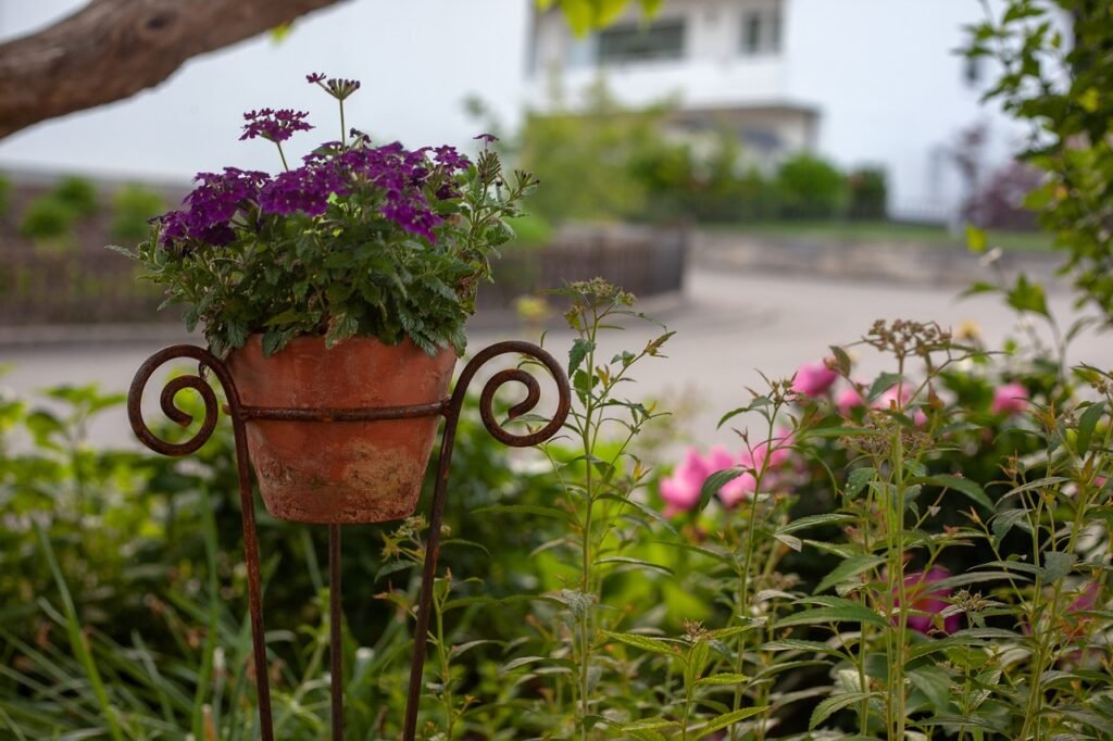 garden, own garden, cottage with garden-3480799.jpg