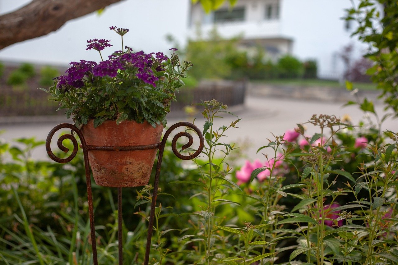 garden, own garden, cottage with garden-3480799.jpg